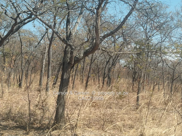 15Ha Farm & Agricultural Land in Mhondoro Ngezi with ZESA (Sole Mandate)