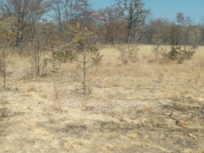 15Ha Farm & Agricultural Land in Mhondoro Ngezi with ZESA (Sole Mandate)