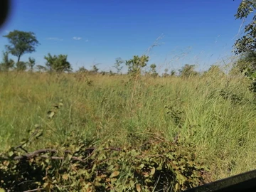 Farm & Agricultural Land