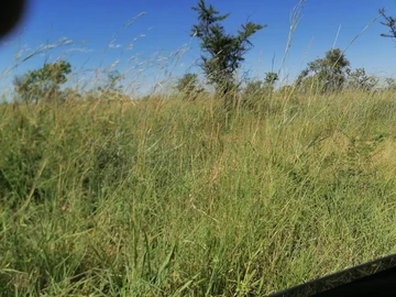 Farm & Agricultural Land