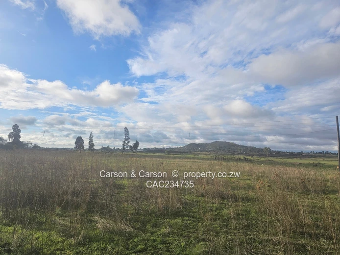 Cluster stands for sale