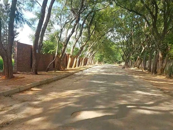 Stands & Residential Land