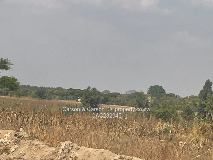 CHOICE OF 50 * RESiDENTIAL  STANDS 