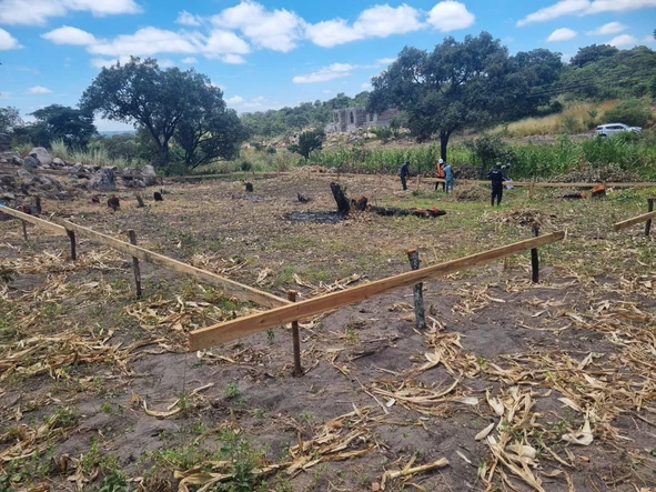 Stands & Residential Land