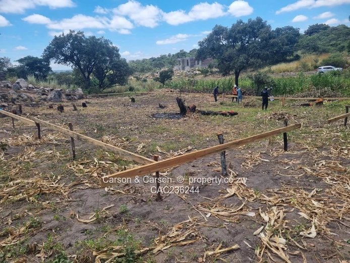 Stand for sale in Crowhill 