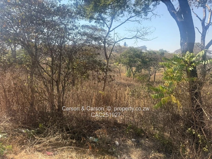 Residential stand for sale