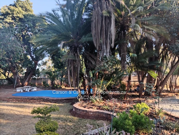 A stone thrown away from Harare International 