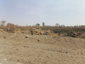 Farm & Agricultural Land