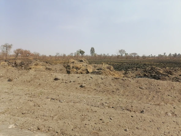 Farm & Agricultural Land