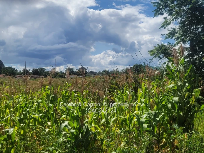 Prime, well established and mature suburb of Chadcombe with massive invetment potential