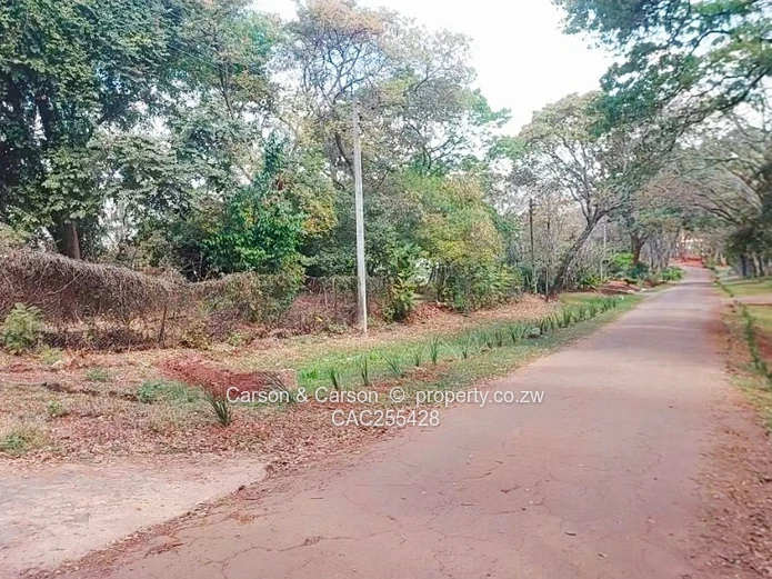 Land Developer’s Delight 