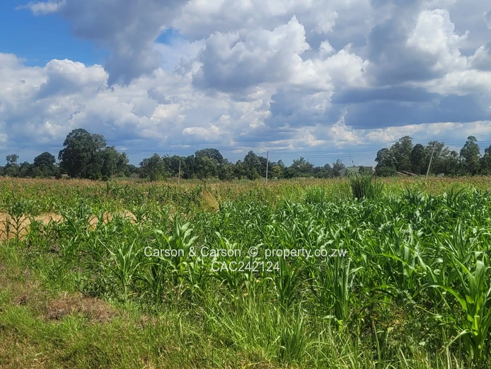 Prime, well established and mature suburb of Chadcombe with massive invetment potential