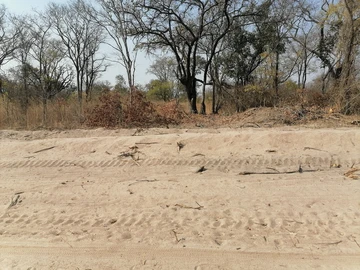 Farm & Agricultural Land